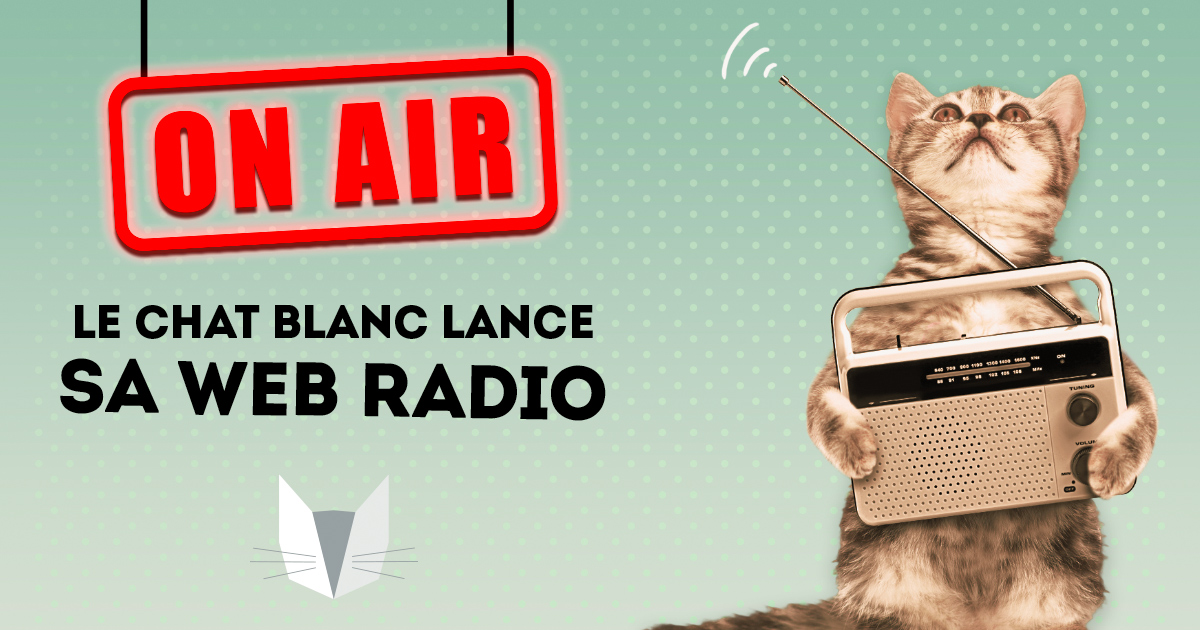 Le Passage Du Chat Blanc